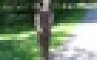 Пособие после кесарева сечения безработной