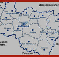 Владимирским пенсионерам сохранили региональные льготы