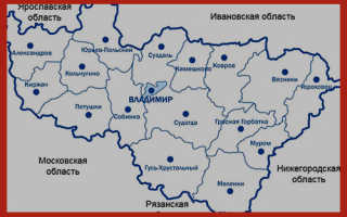 Владимирским пенсионерам сохранили региональные льготы