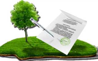 Муниципальная собственность на землю и ее виды