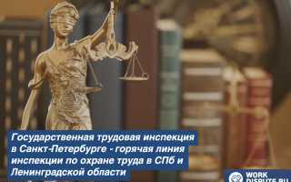 Трудовая инспекция СанктПетербурга — горячая линия