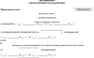 Образец приказа на отпуск генерального директора nalognalogru