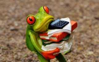 Основные особенности хозяйственной деятельности ТСЖ и ЖСК