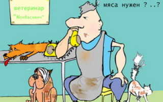 Должностная инструкция ветеринарного врача