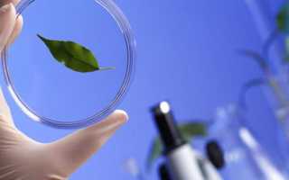 Профессии связанные с выращиванием растений охраной почвы