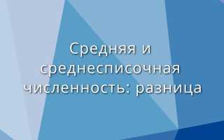 Средняя численность и среднесписочная численность — разница
