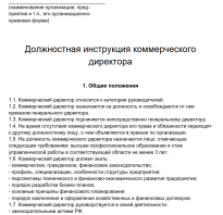 Образец должностной инструкции коммерческого директора 2021