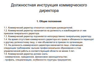 Образец должностной инструкции коммерческого директора 2021
