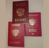 Получение гражданства РФ в упрощенном порядке