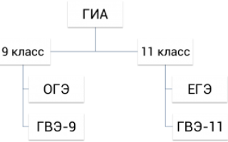 Гуманитарные специальности для выпускников девятого класса