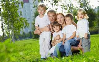 Оформление многодетной семьи документы особенности и организации