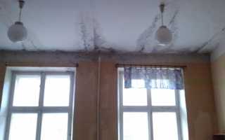 Заявление на ремонт крыши как составить образец