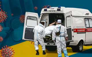 Мрот в белгородской области на 2021 год