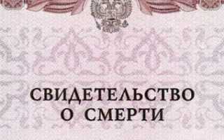 Выдача дубликата завещания подробное описание процедуры восстановления утерянного документа