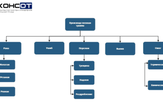 Производственный травматизм и его основные причины
