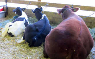 Обзор профессий задействованных в растениеводстве