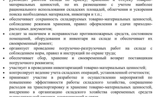 Должностная инструкция и обязанности заведующего складом