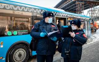 Охота на зайцев как работают столичные контролеры