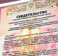 Бланк свидетельства о регистрации права собственности