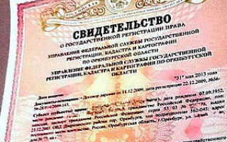 Бланк свидетельства о регистрации права собственности