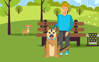 Агрессивные собаки правила возмещения вреда от укусов