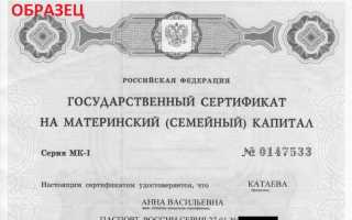 Региональный материнский капитал в СанктПетербурге