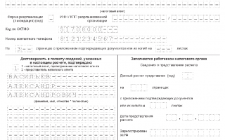 6НДФЛ инструкция по заполнению и пример