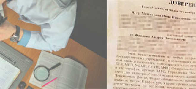 Независимая экспертиза давности создания документа Стоимость Примеры