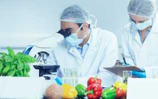 Стоит ли работать технологом пищевого производства?