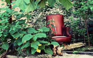 Как Оформить Землю В Снт В Собственность