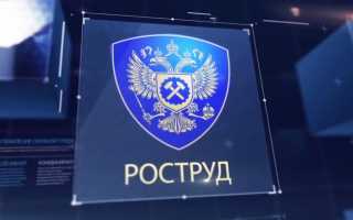 Основные полномочия органов федеральной инспекции труда