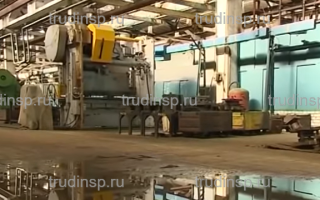 Внеплановая проверка трудовой инспекции по жалобе работника