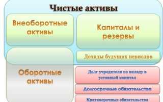 Методика расчета и анализа чистых активов организации