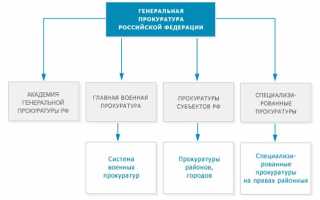 Жалоба в прокуратуру на работодателя. образец и бланк для скачивания 2021 года