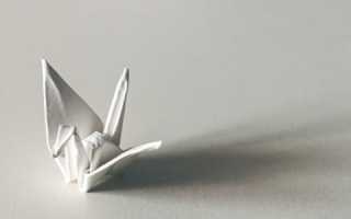 Работать по международным стандартам компетенции современного бухгалтера