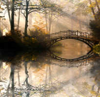 Частный сервитут арбитражная практика и применения