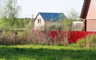 Нюансы покупки дачного участка в садовом товариществе