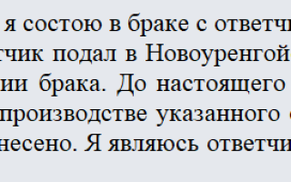 Встречное исковое заявление о разделе имущества. образец заполнения и бланк 2021 года