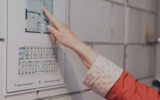 Алгоритм действий при порче утрате документов