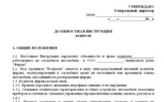 ДОЛЖНОСТНАЯ ИНСТРУКЦИЯ ВОДИТЕЛЯЭКСПЕДИТОРА скачать образец бесплатно