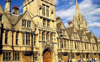 Лучшие вузы мира для изучения биоинженерии