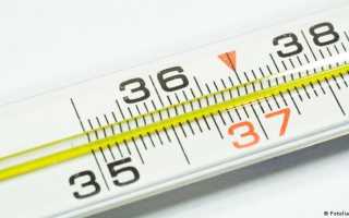 Какие справки по болезни можно предоставлять работодателю?