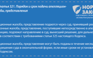 Обжалование решения суда инстанции и сроки