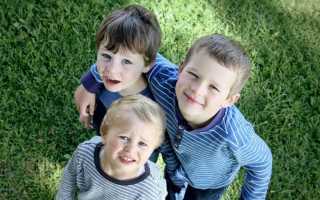 Статус многодетной семьи основания оформление документы