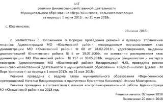 Образец акта ревизии в организации