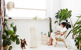 Что делать, если утрачены документы на наследуемое имущество?